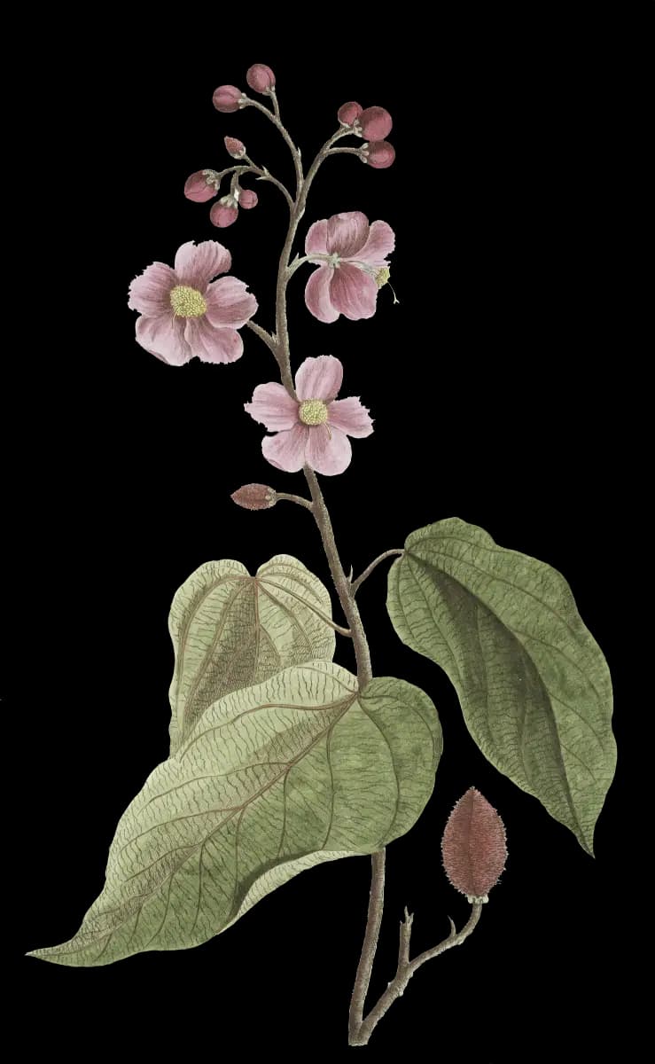 green flower decoration