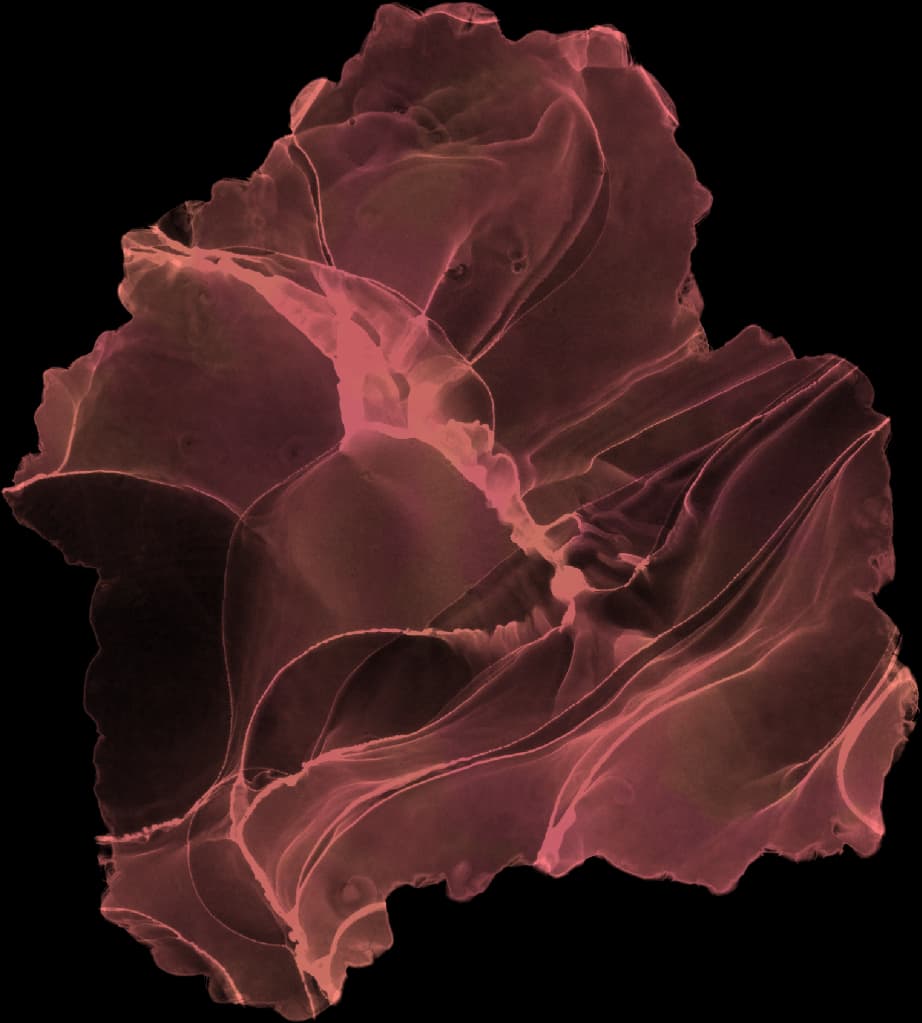 pink flower decoration